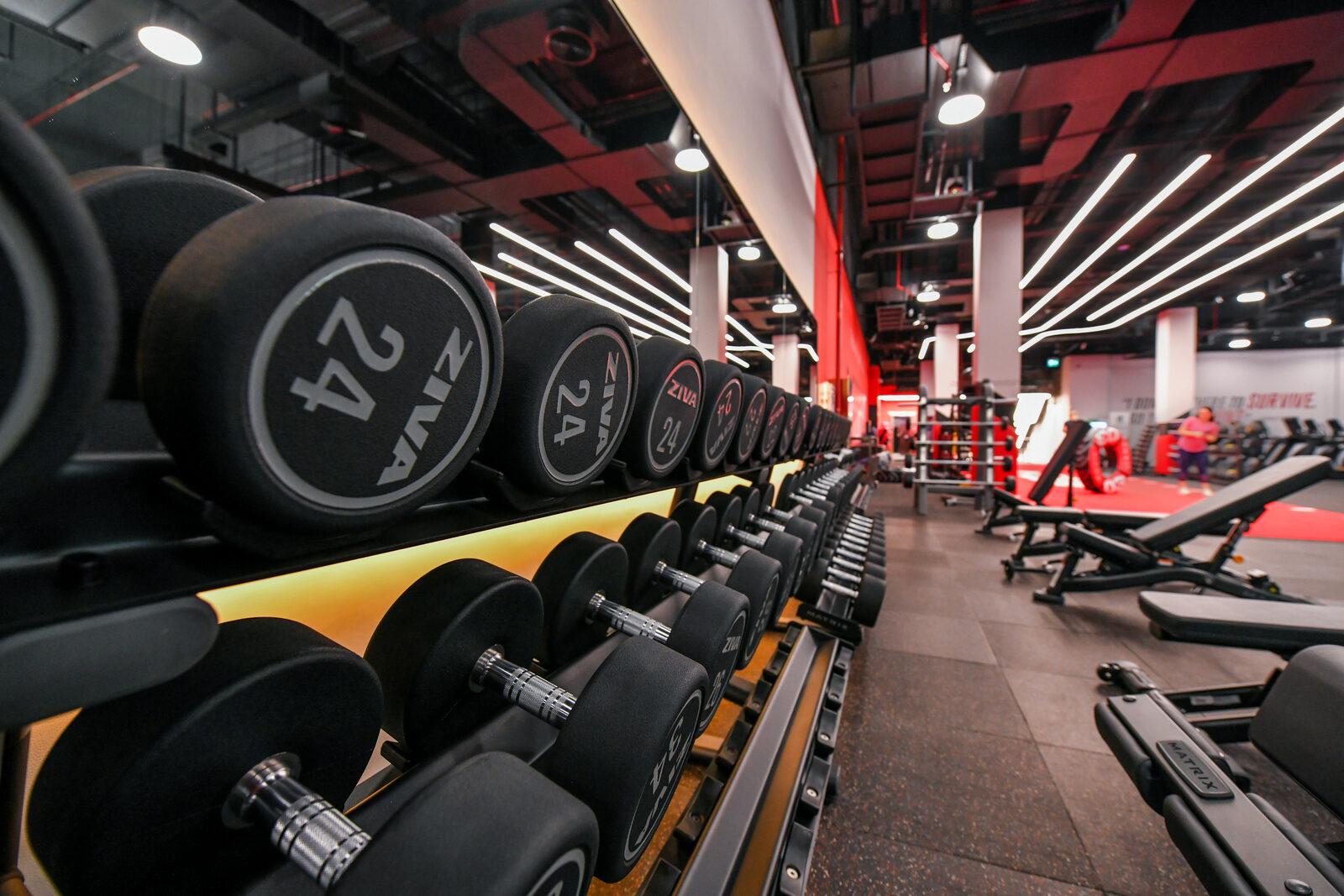 Free weights zone at UFC GYM Ajman