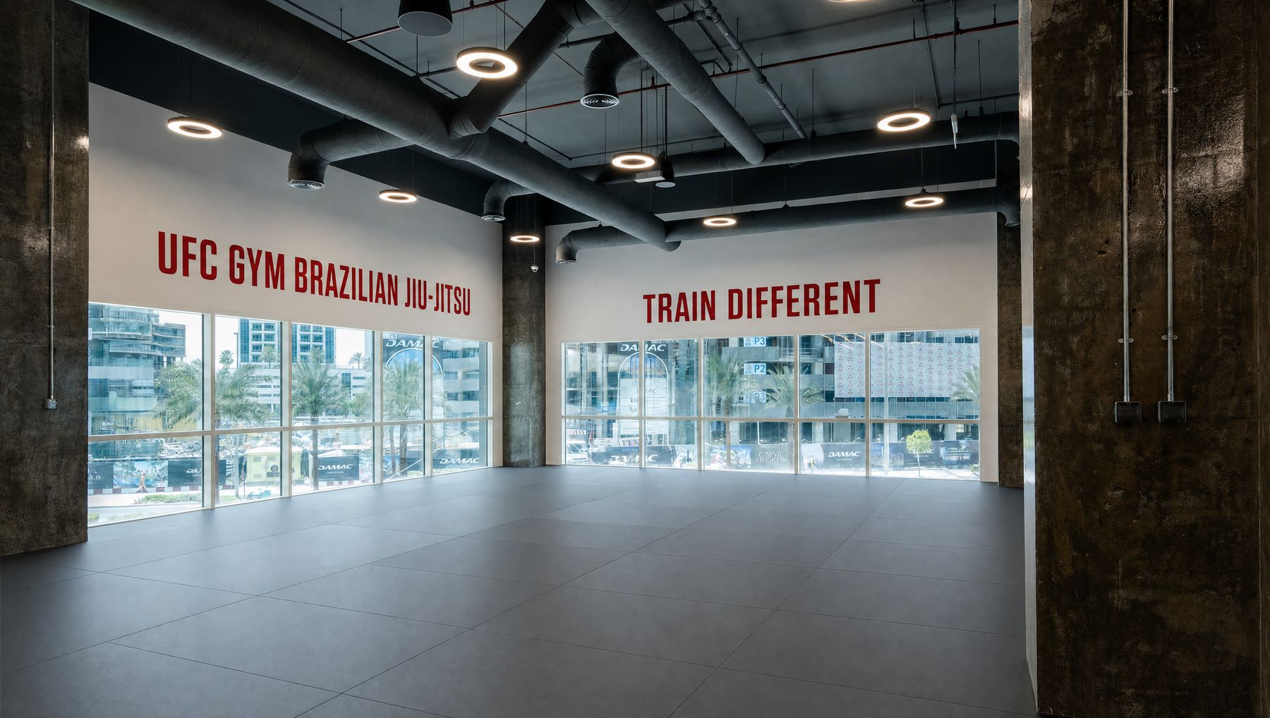 Brazilian Jiu-Jitsu mat area