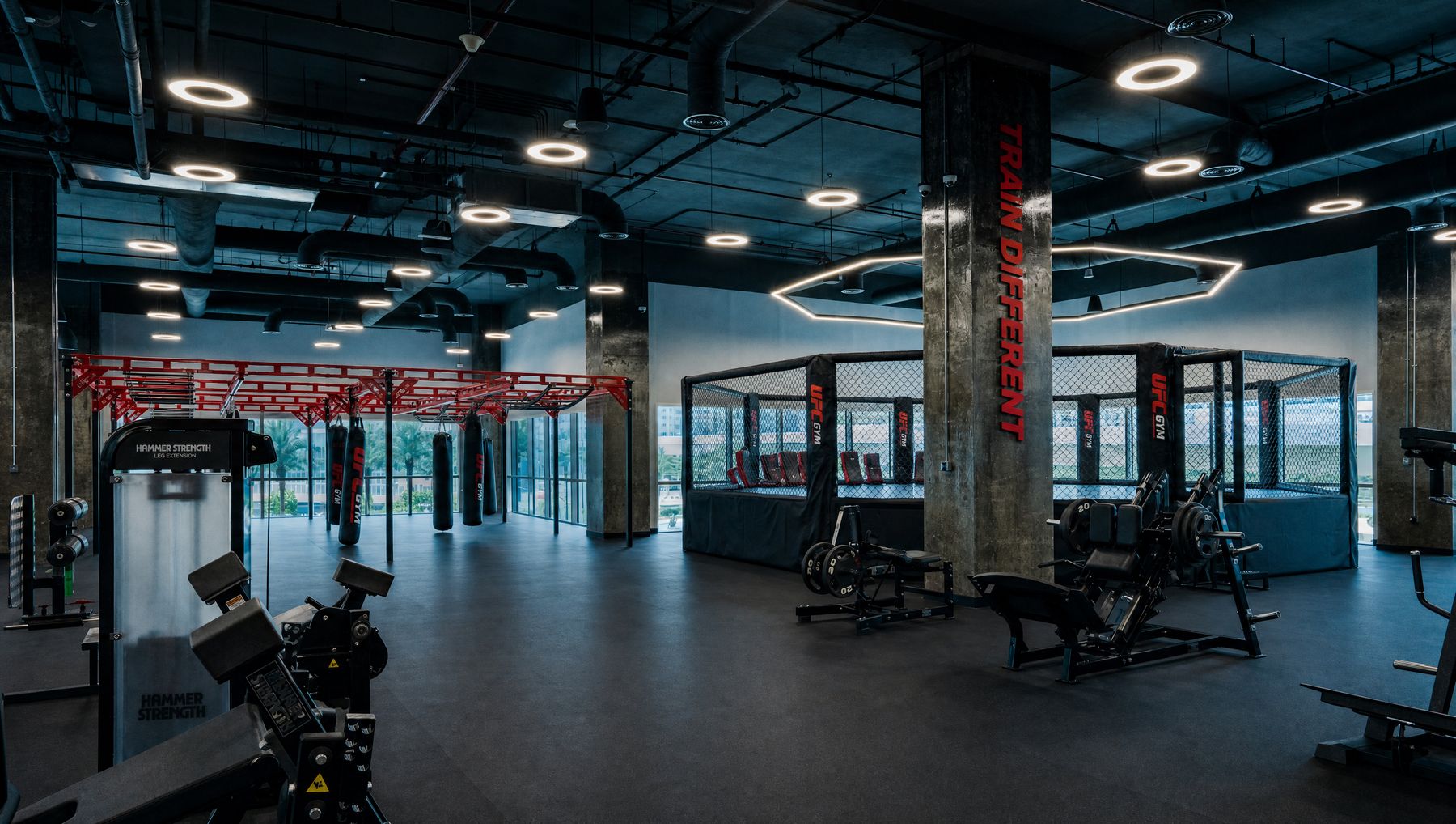 Squat racks and free-weight area